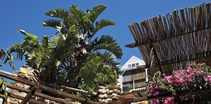 Courtyard - African Violet Guest Suites (Cape Town)