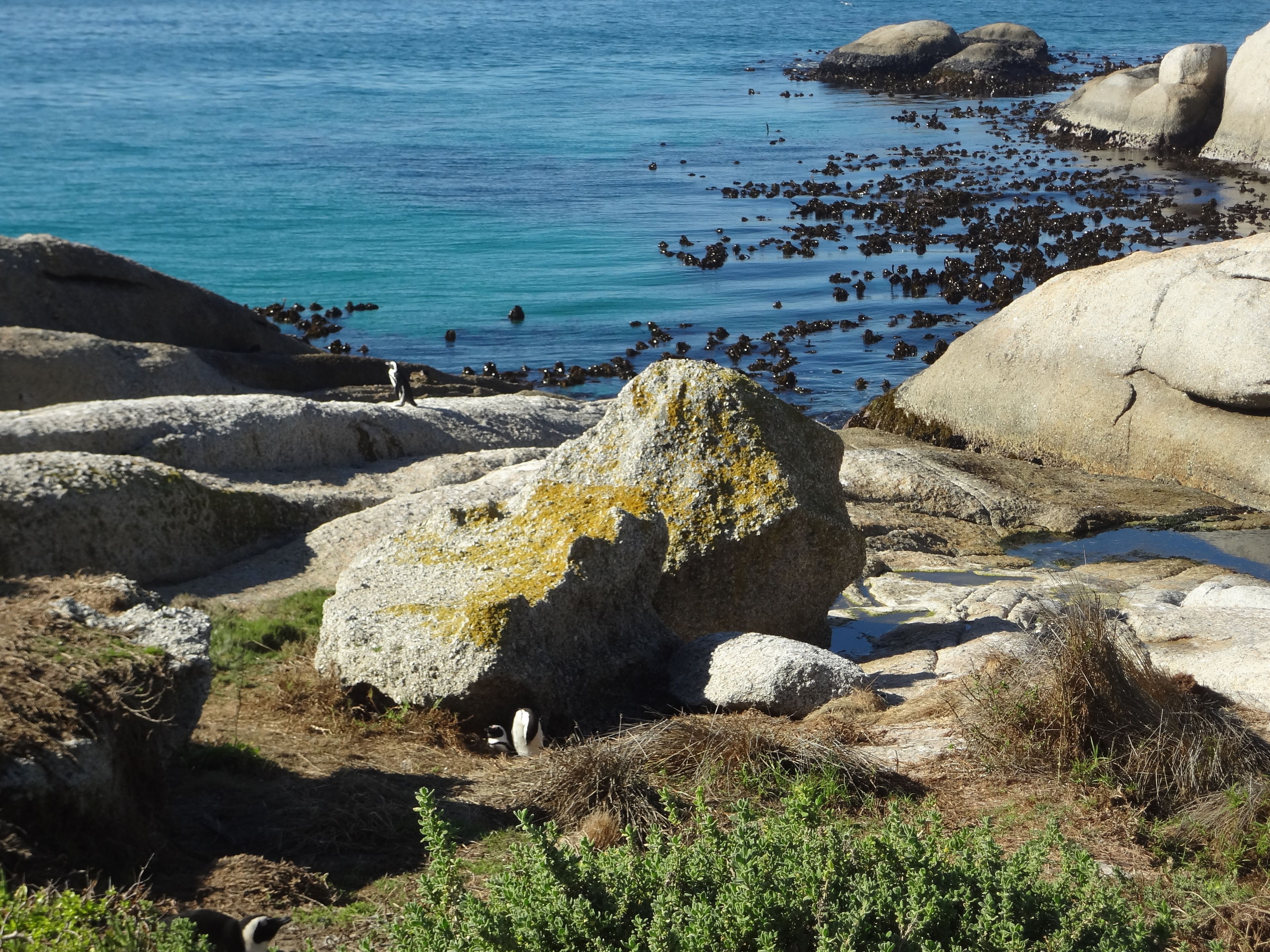 A rocky coastal landscape with large boulders and a clear blue sea.