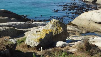 A rocky coastal landscape with large boulders and a clear blue sea.