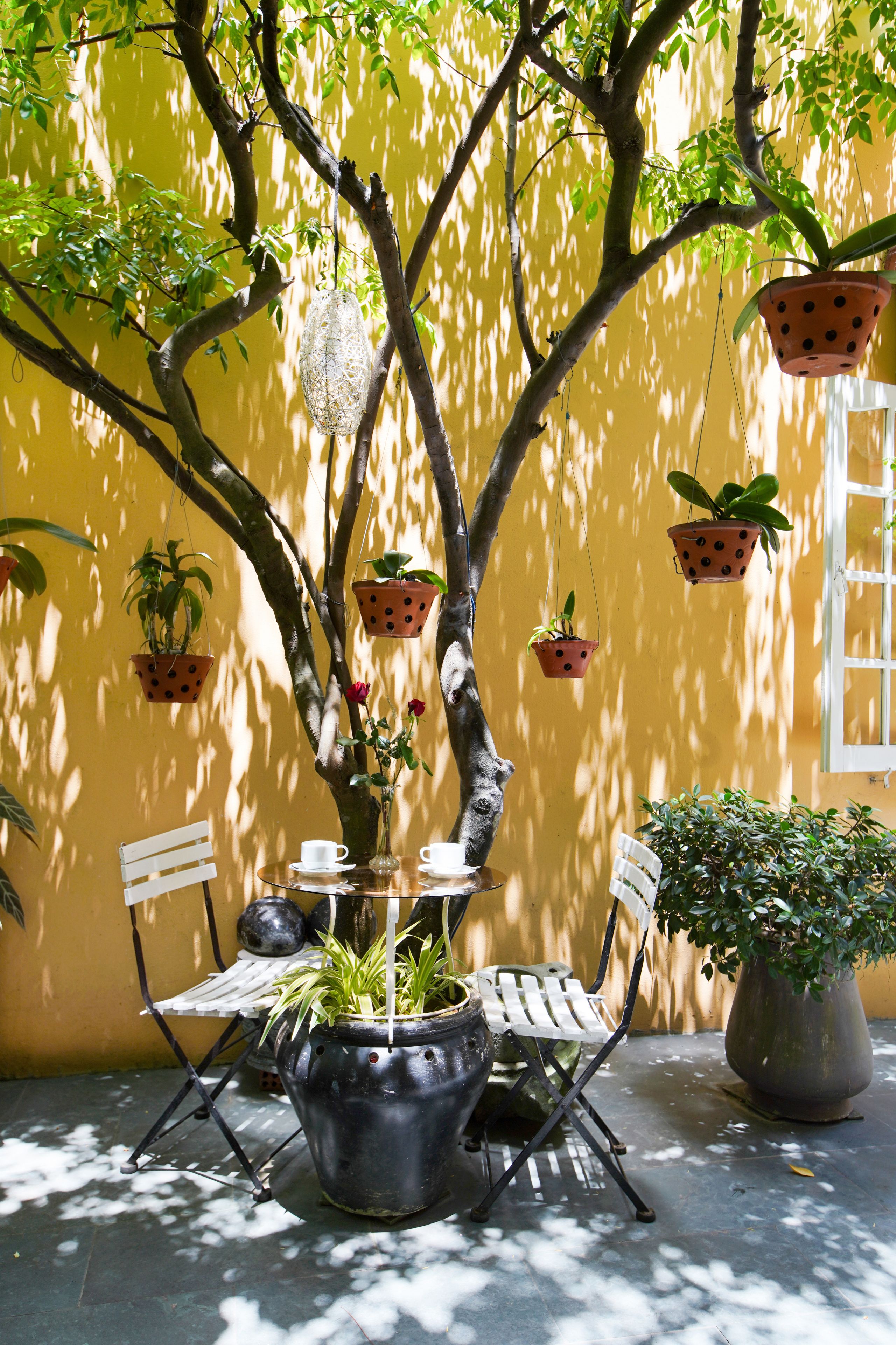 Photo - Green Garden Homestay