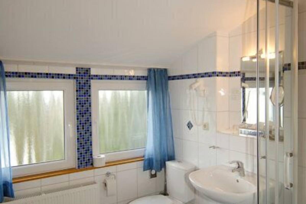 shower, free toiletries, hair dryer