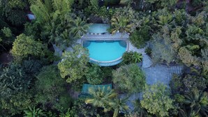 An aerial view of a resort with a central swimming pool surrounded by lush greenery and palm trees. - Wildflower Villas (Candolim)