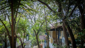 A pathway leading to a building with a tiled roof, surrounded by lush greenery and trees. - Wildflower Villas (Candolim)