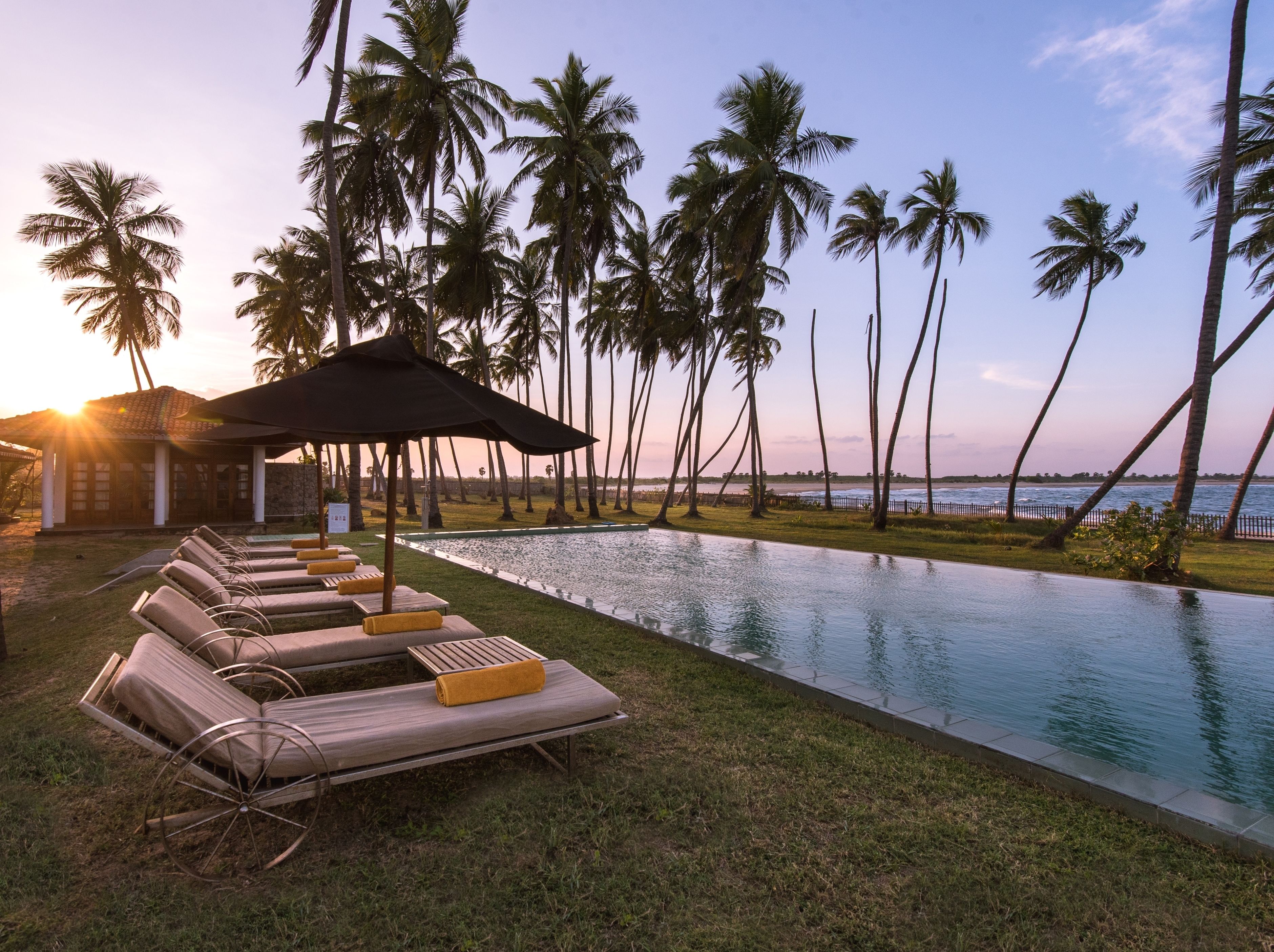 A poolside area with lounge chairs and a covered seating area, surrounded by tall palm trees and a view of the sea.