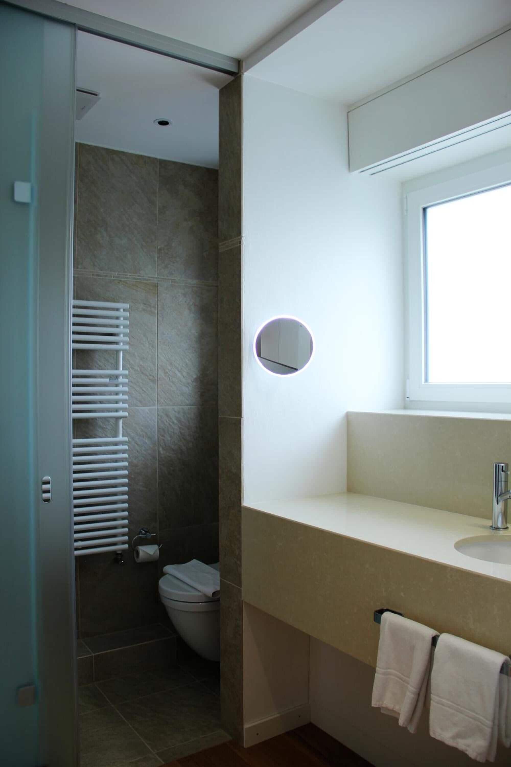 A bathroom with a shower, toilet, and a sink with a mirror.
