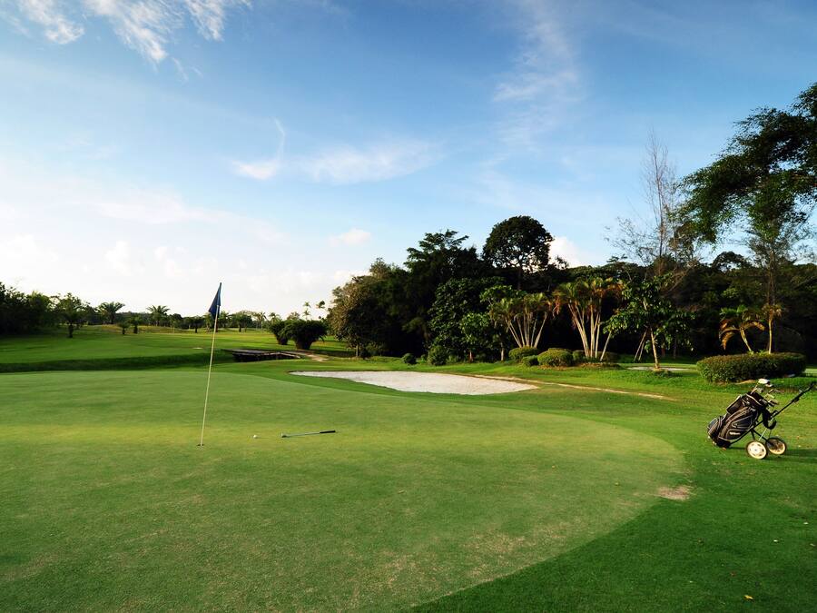 A golf course with a flagstick, sand bunker, and a golf bag.