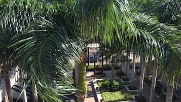 Taman