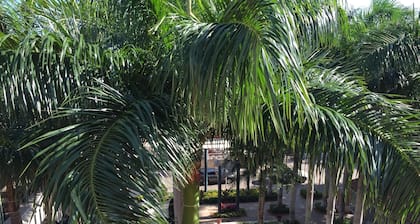 LYX Suites at Merrick Park in Coral Gables