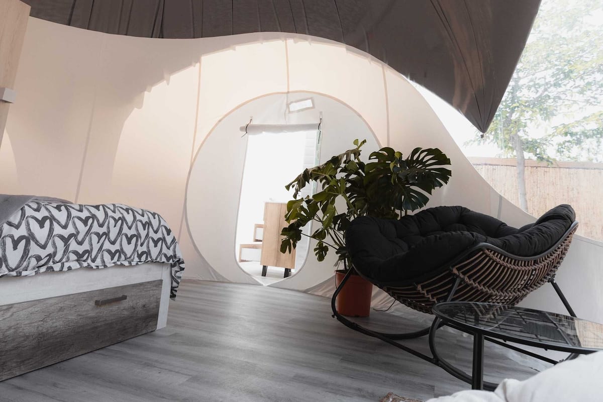 Ein gemütliches Zimmer mit einem Bett, einem schwarzen Sessel und einer großen Topfpflanze.
