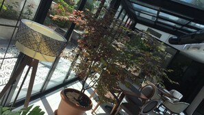 A modern indoor space with a large potted tree, a patterned floor lamp, and contemporary furniture. - Warwick Ankara (Ankara)
