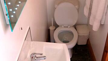 A small bathroom with a white sink, toilet, and a mirror with lights.