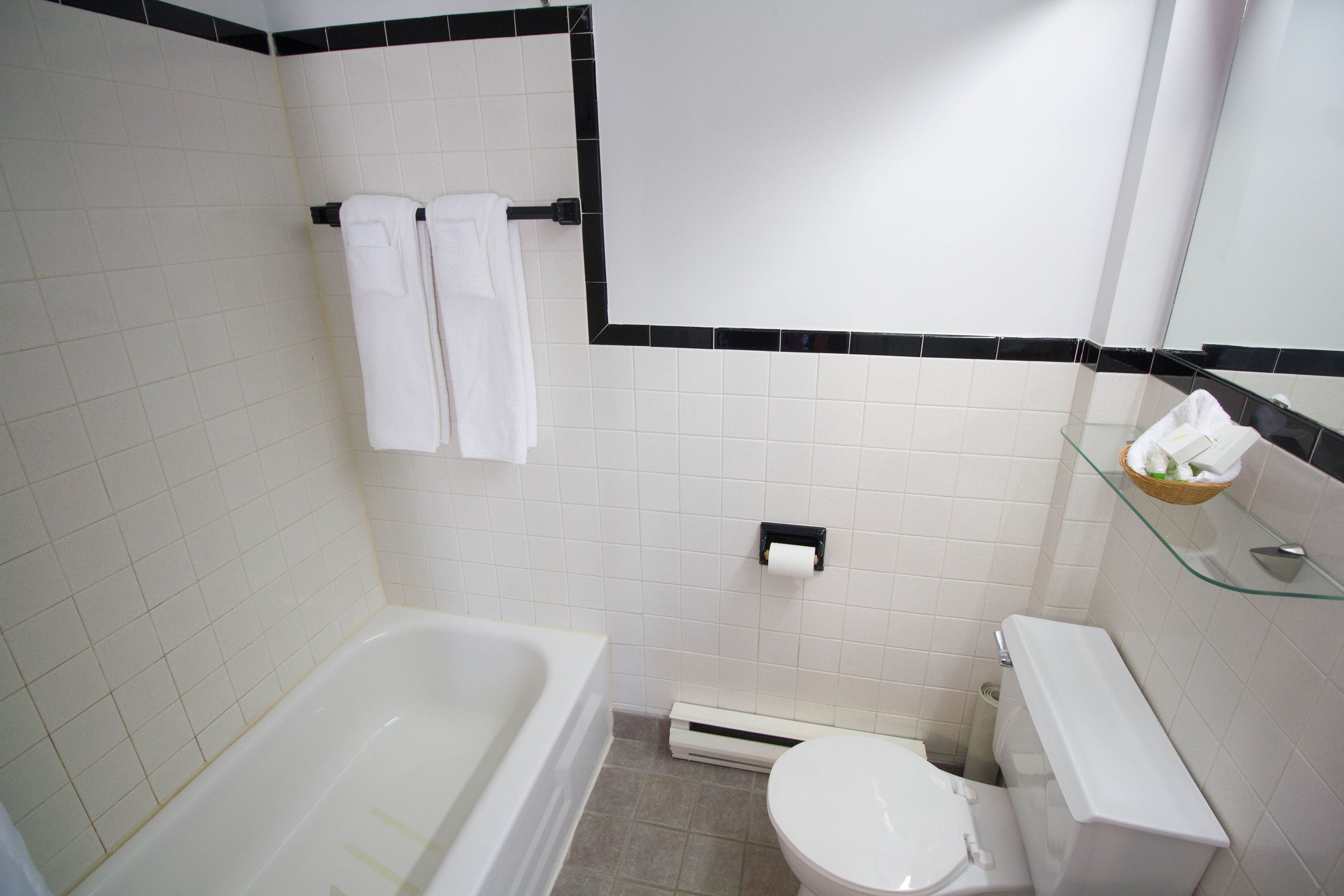 combined shower/bathtub, free toiletries, hair dryer