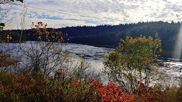 Un lac entouré d’arbres et de végétation.