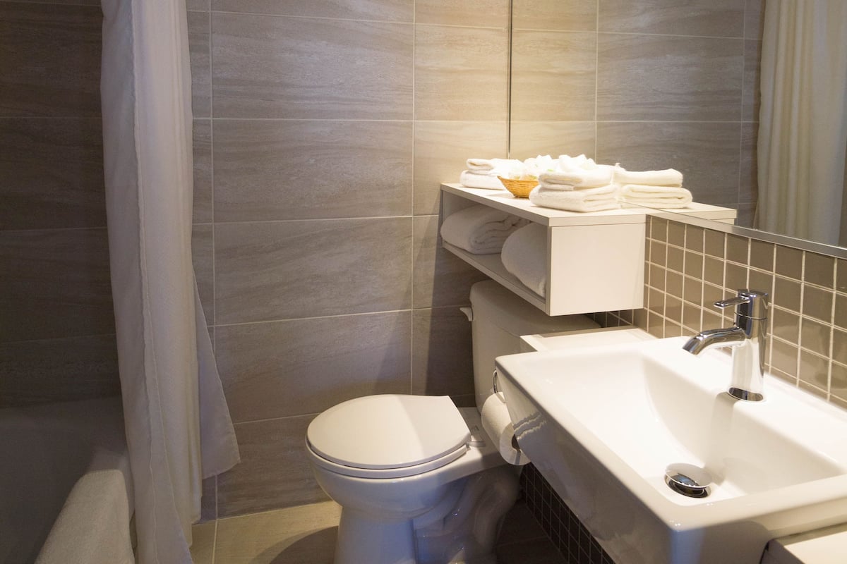 deluxe room, river view, front desk is open until 8 pm (marineau+) | bathroom | combined shower/bathtub, free toiletries, hair dryer