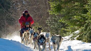 Una persona con chaqueta roja guiando un grupo de perros husky por un sendero nevado.
