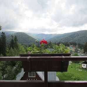 Mountain view - Hotel Marea Neagra (Sinaia)