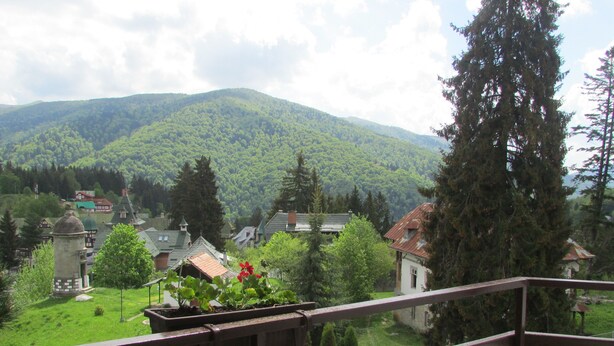 A balcony with a view of a village, green hills, and a large tree. - Hotel Marea Neagra (Sinaia)