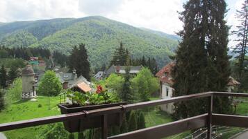 Vue sur les montagnes