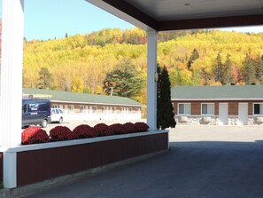 Ubetjent parkering (inkludert)