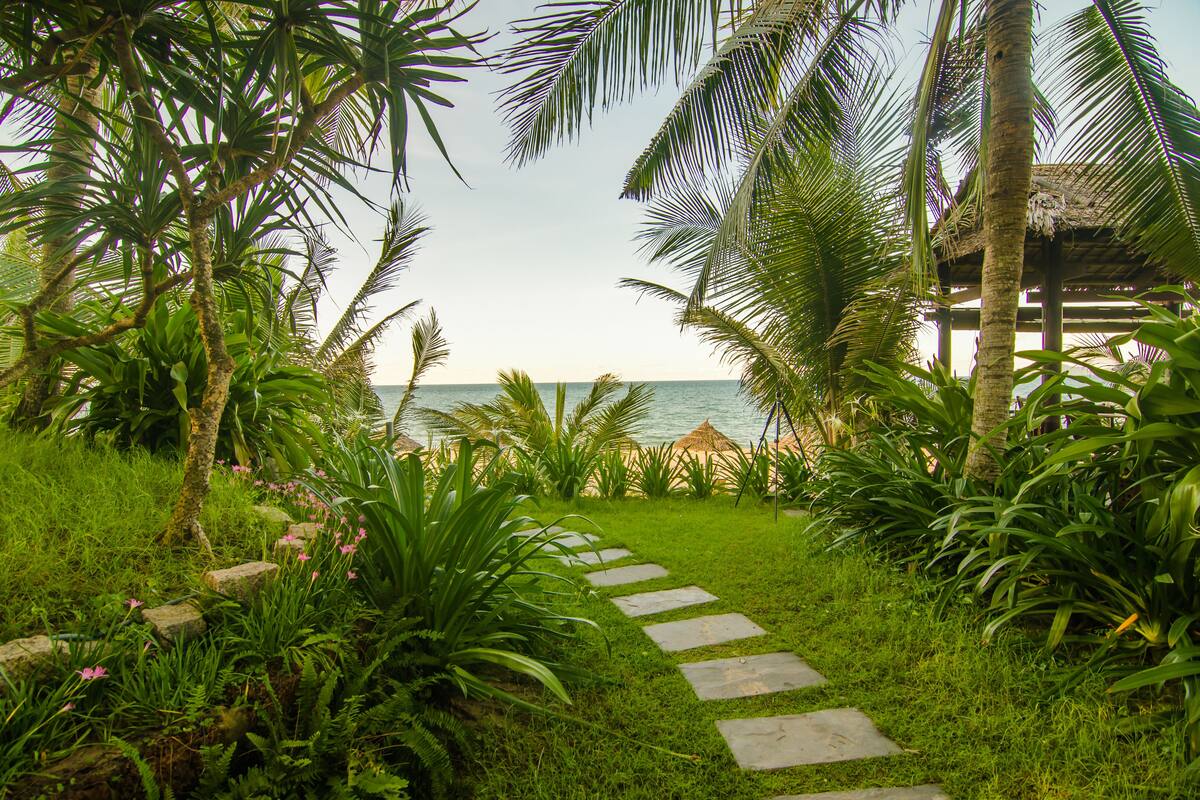 A pathway leading to a beach with palm trees and a thatched-roof structure.