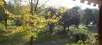 B&B Botton D'Oro 2