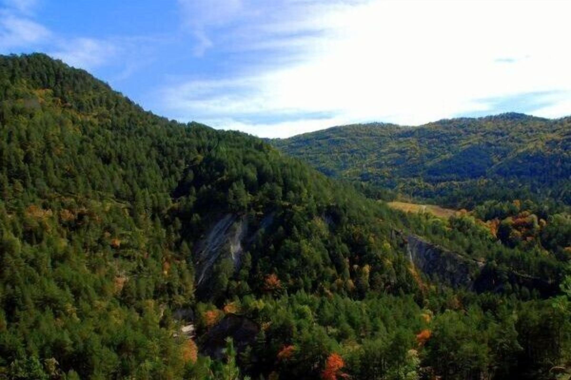 Un paisaje montañoso con bosques densos y un valle.