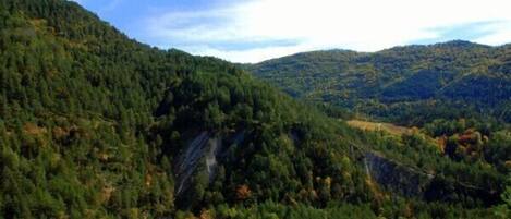 Un paisaje montañoso con bosques densos y un valle.