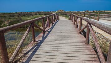 Un paseo marítimo de madera que conduce a una playa, con vistas claras al océano y dunas al fondo.