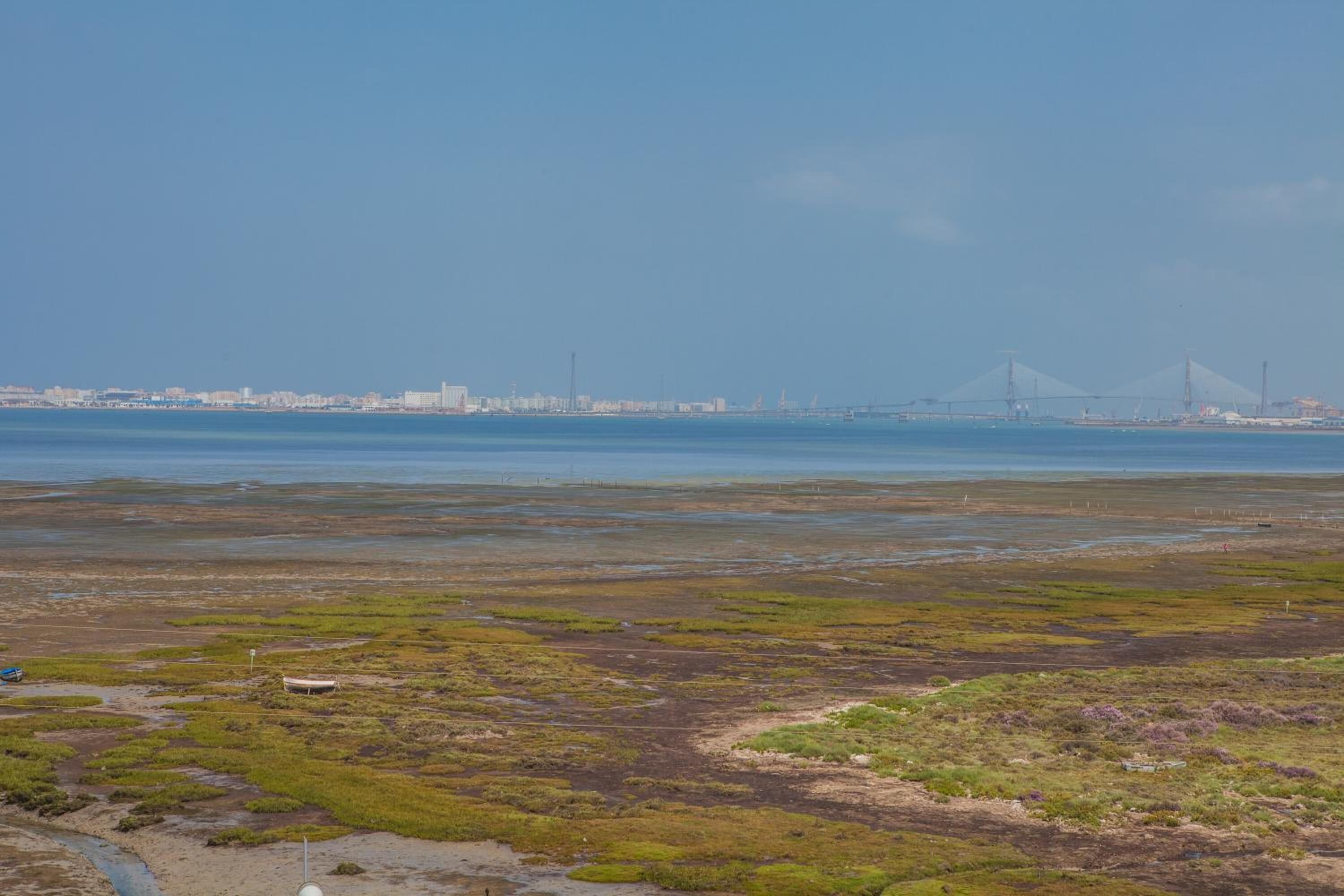 A coastal landscape with a bridge in the background.