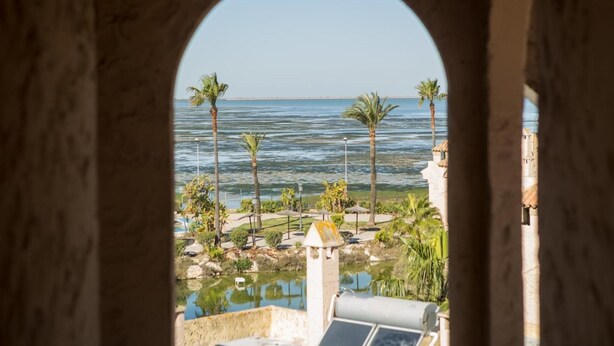 Vista a través de un ventanal arqueado que da a una zona de piscina con palmeras y una extensión de agua.