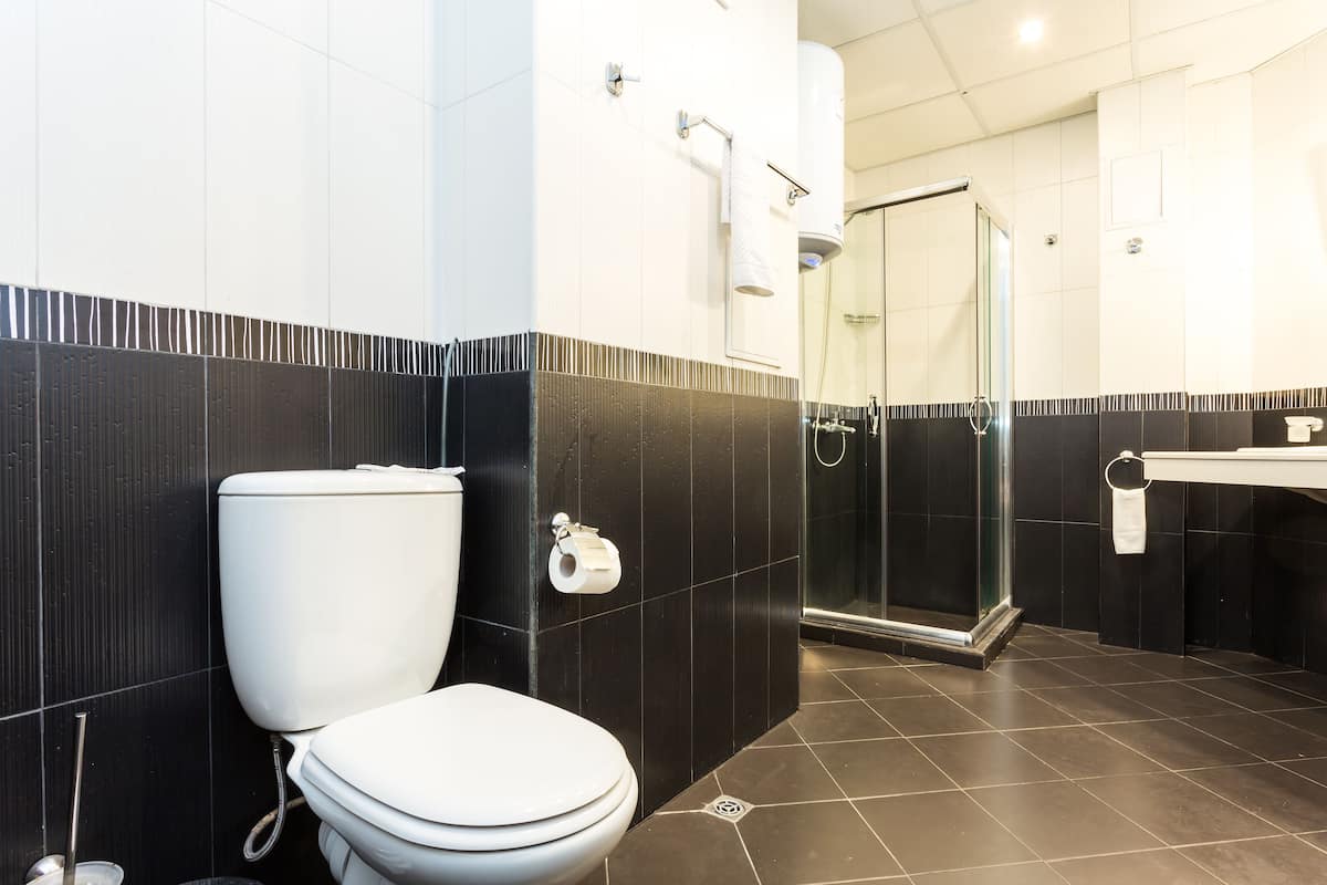 free toiletries, hair dryer, towels