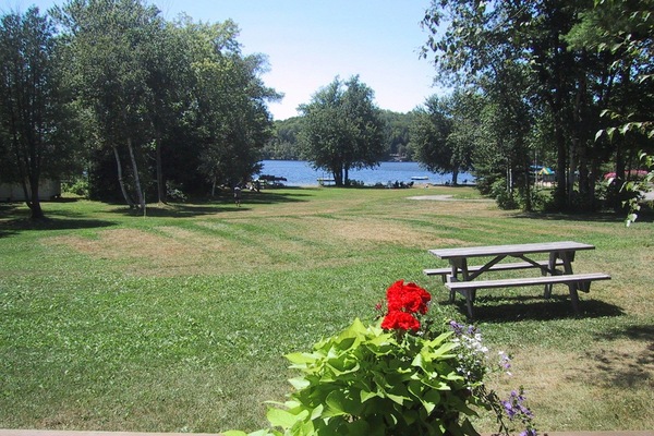 Lake view