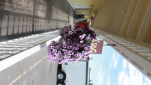 A corridor with a hanging flower arrangement and a sign with a logo. - Four Jacks Hotel and Casino (Jackpot)