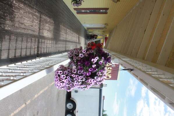 A corridor with a hanging flower arrangement and a sign with a logo. - Four Jacks Hotel and Casino (Jackpot)