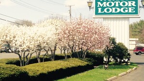 Une enseigne indiquant l'emplacement du Nyack Motor Lodge, avec des arbres en fleurs au premier plan.