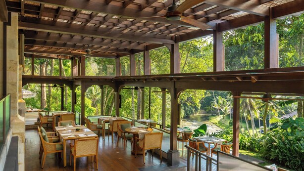 Un comedor interior con mesas y sillas de madera, ventanas amplias y vistas a un jardín exuberante.