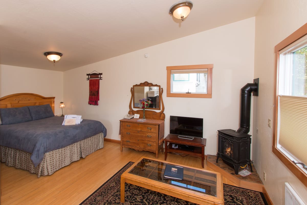 A bedroom with a bed, dresser, TV, and a wood-burning stove.