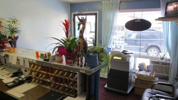 A reception desk with a computer, phone, and various office supplies. There are plants on the desk and shelves, and a window with a view of the street.