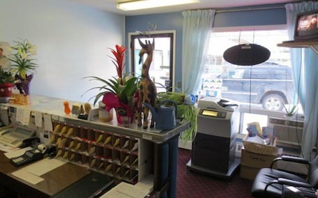 Reception. Sleep Inn Motel