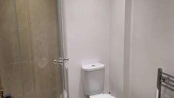 Un baño con ducha acristalada, inodoro y lavabo.