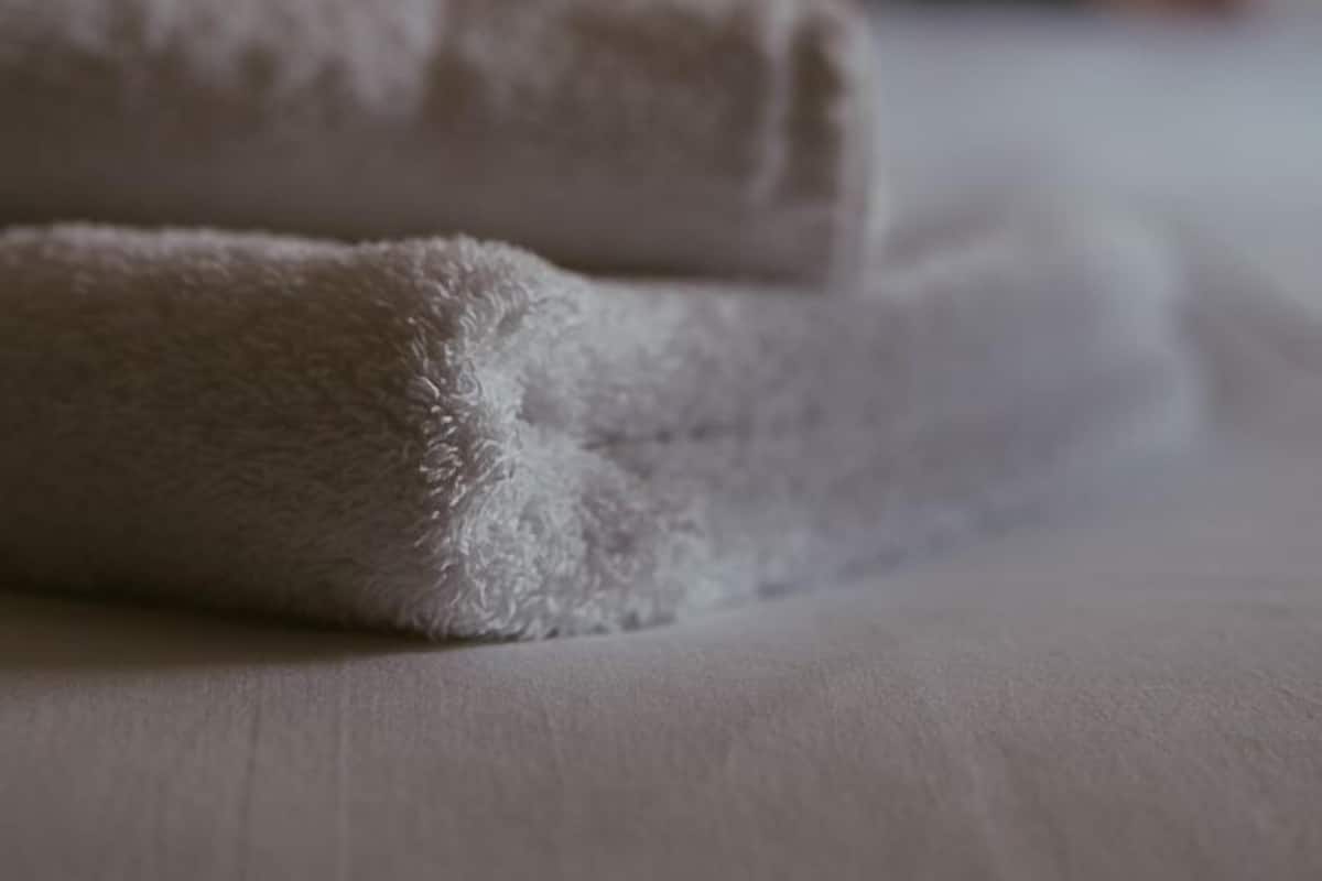 Habitación doble, vistas al jardín | Ropa de cama de alta calidad, escritorio, tabla de planchar con plancha