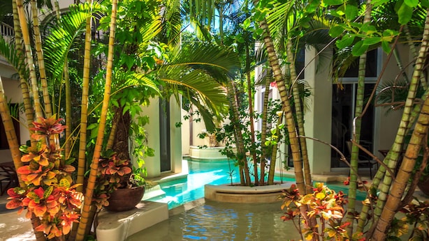 An indoor pool surrounded by tall bamboo plants and tropical foliage. - Royal Palms by Bric (Playa del Carmen)