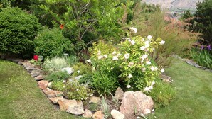 Property grounds - Desert Oasis Bed & Breakfast (Osoyoos)