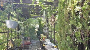 Property grounds - Desert Oasis Bed & Breakfast (Osoyoos)