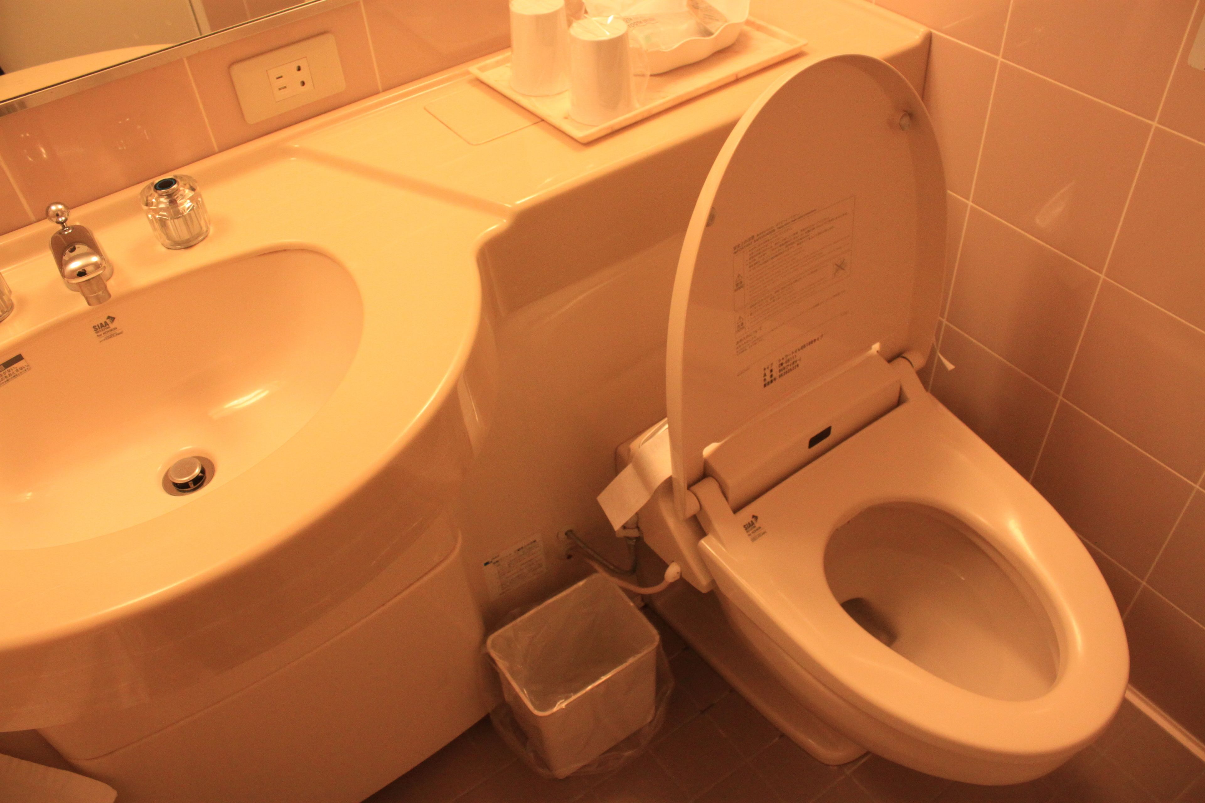 combined shower/bathtub, free toiletries, hair dryer, slippers