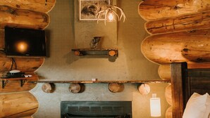 Una habitación tipo cabaña de troncos con televisión, chimenea y estanterías de madera.