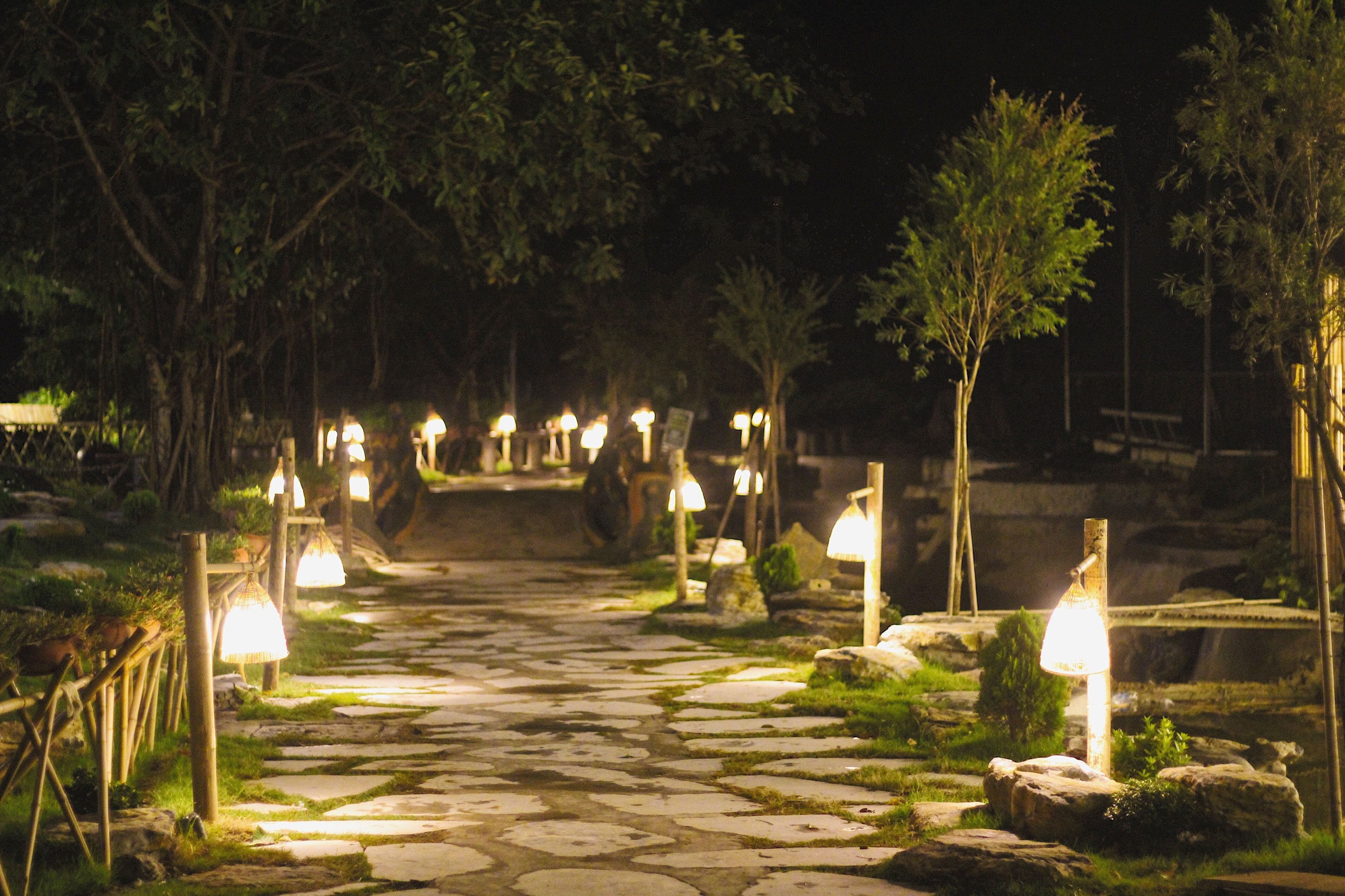 Foto - Mua Caves Ecolodge (Hang Mua)