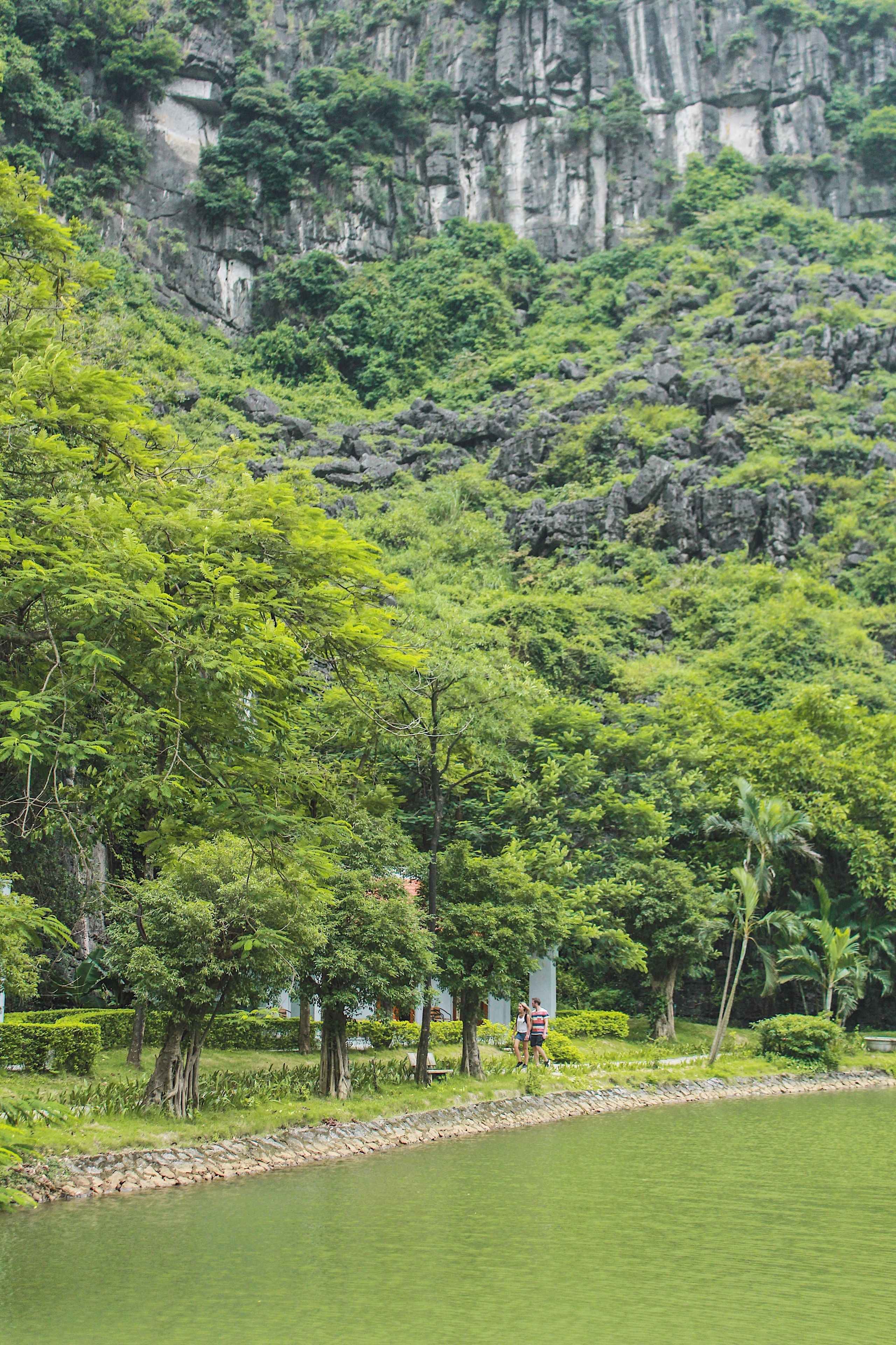 A serene riverside view with lush greenery and a rocky cliff in the background.