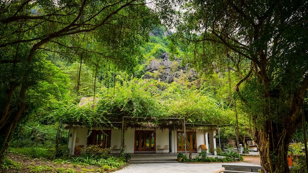A rustic wooden house with a porch, surrounded by lush greenery and a stone pathway leading to a bench. - Mua Caves Ecolodge (Hoa Lu)