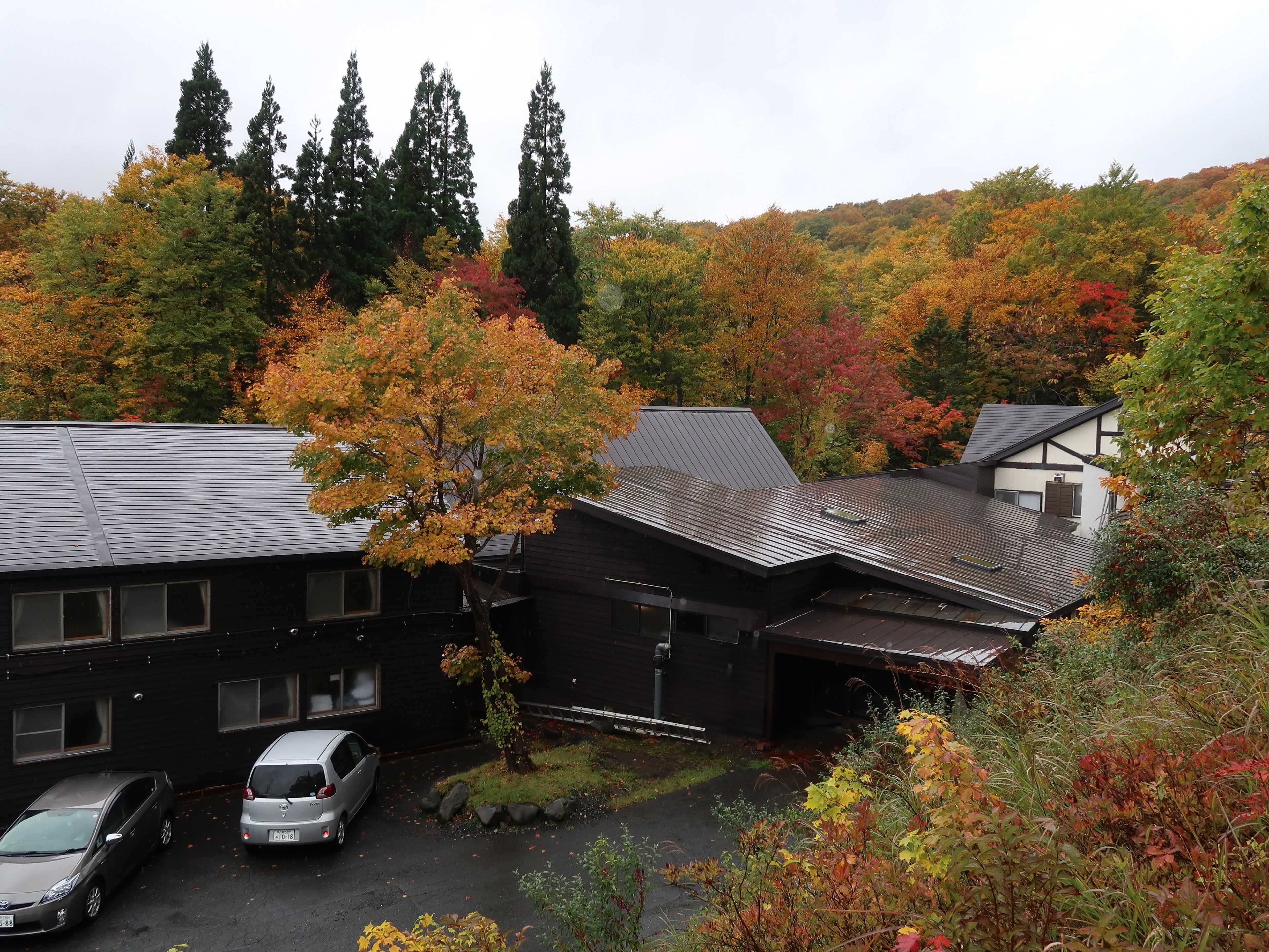 Un bâtiment de style japonais traditionnel, doté d’un toit en pente et entouré d’un feuillage automnal.